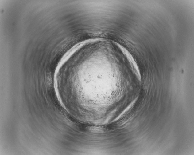 X0000087380085200705111746