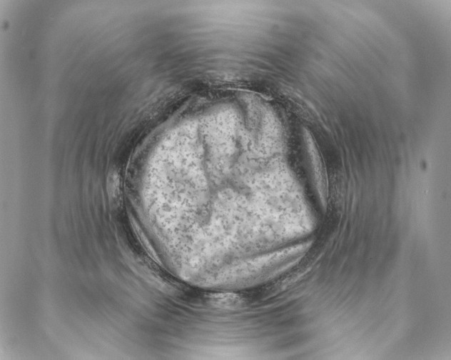 X0000087380087200705111746