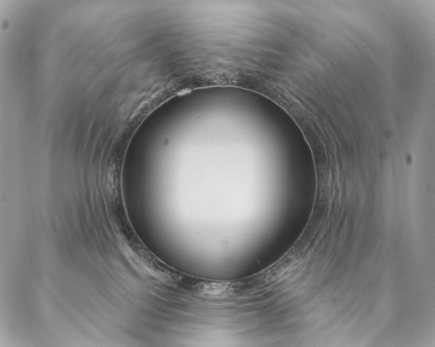 X0000087380088200705111746