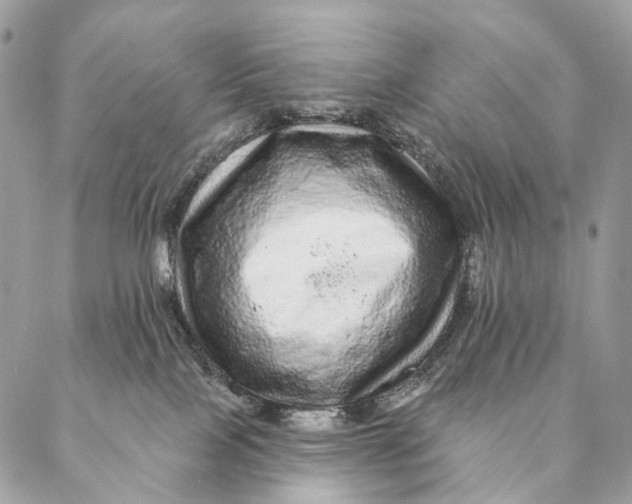 X0000087380089200705111746