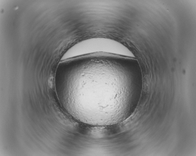 X0000087380090200705111746