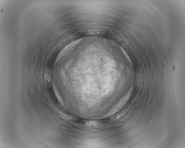 X0000087380091200705111746