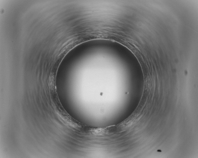 X0000087380092200705111746