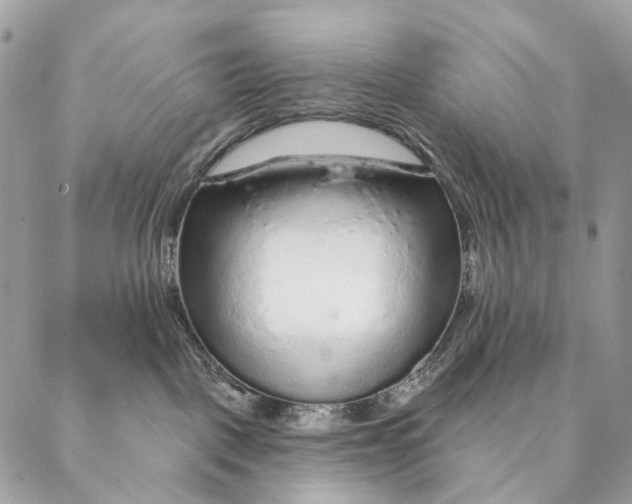 X0000087380093200705111746