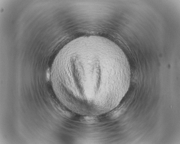 X0000087380095200705111746