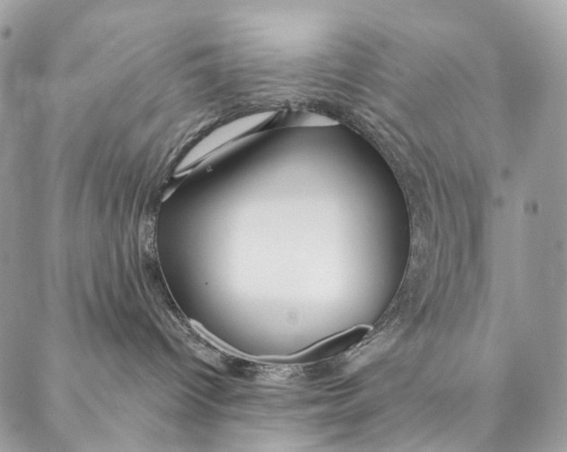 X0000087380096200705111746