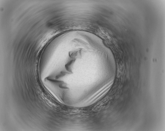 X0000087380098200705111745