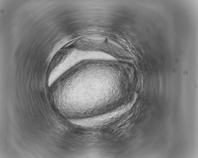 X0000087380099200705111745