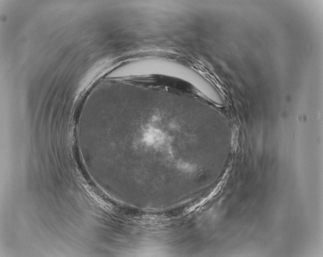 X0000087380101200705111745