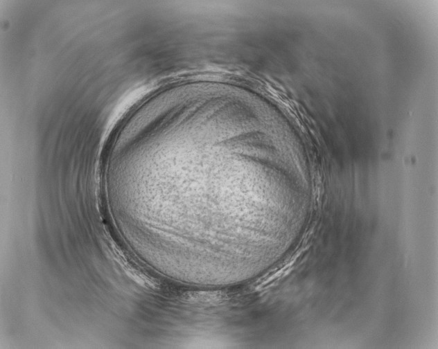 X0000087380102200705111745