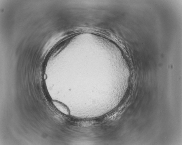 X0000087380103200705111745