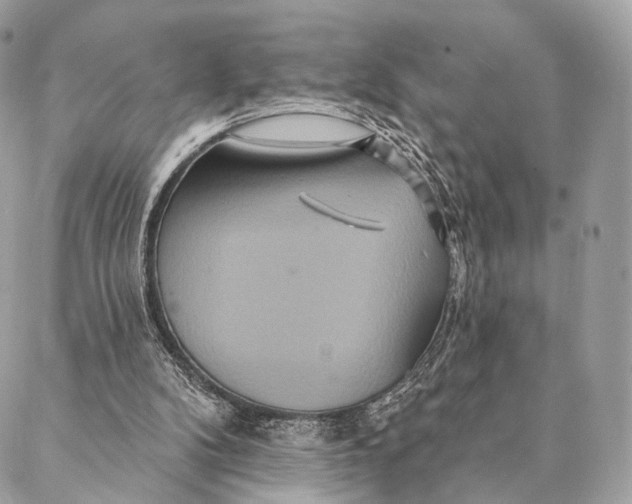 X0000087380104200705111745