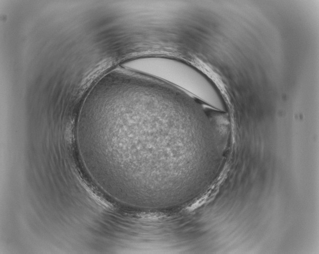 X0000087380105200705111745