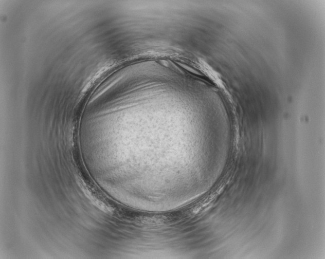 X0000087380106200705111745