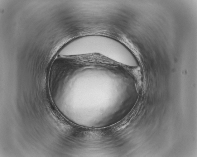 X0000087380107200705111745