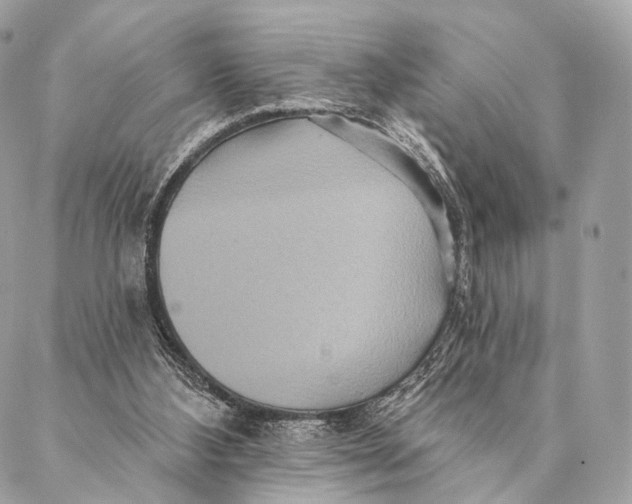 X0000087380108200705111745