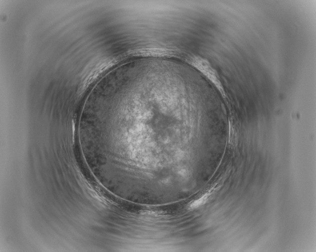 X0000087380109200705111745