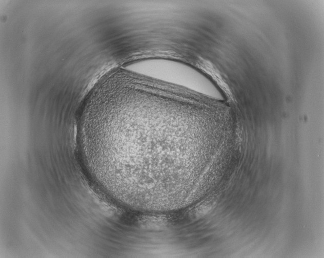 X0000087380110200705111745