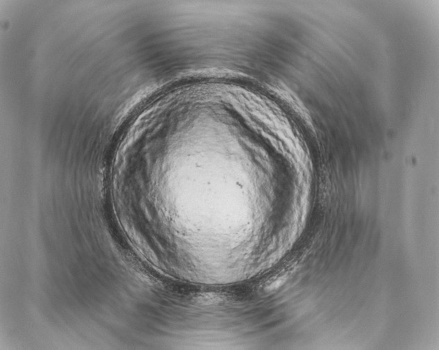 X0000087380111200705111745