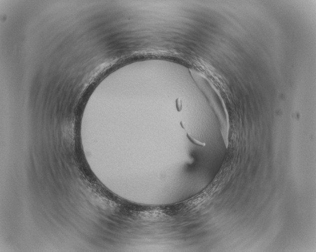 X0000087380112200705111745