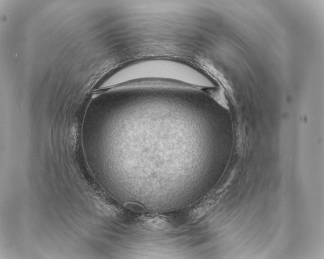 X0000087380113200705111745