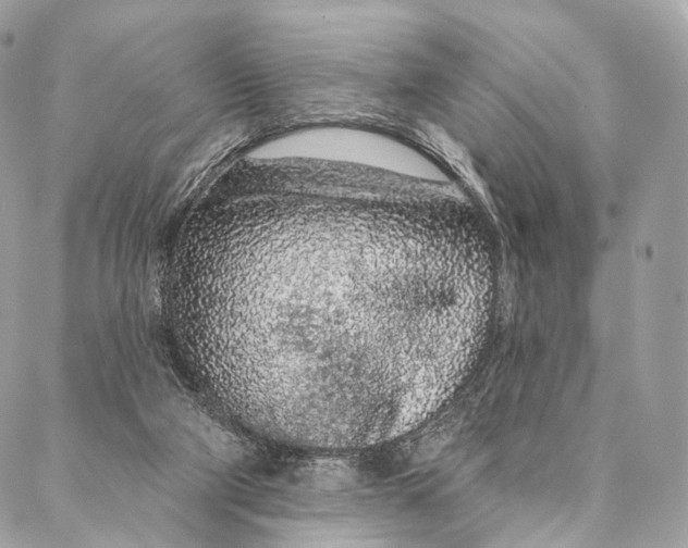 X0000087380114200705111745