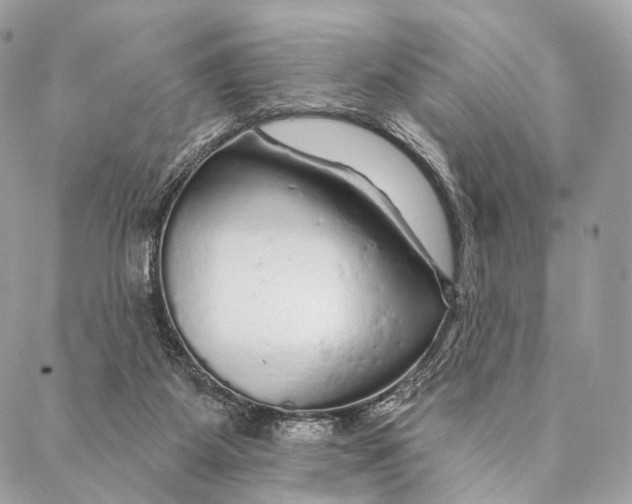 X0000087380115200705111745