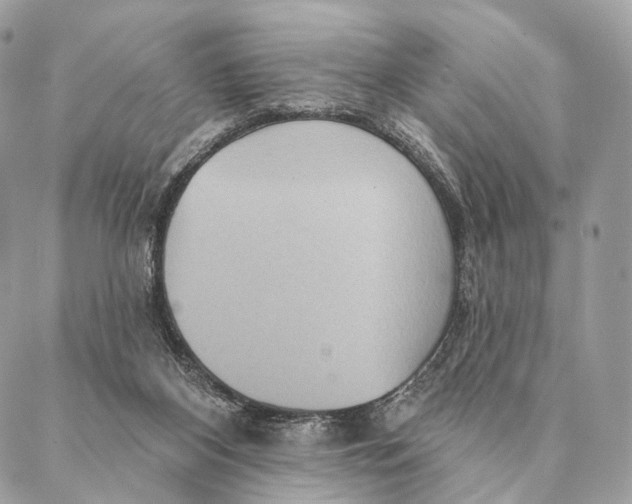 X0000087380116200705111745