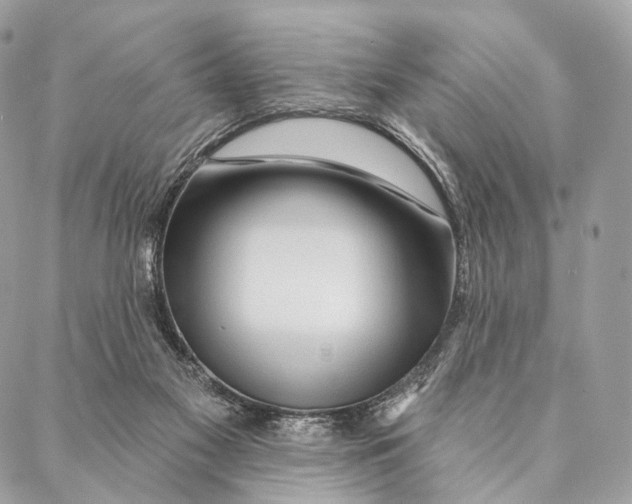 X0000087380117200705111745