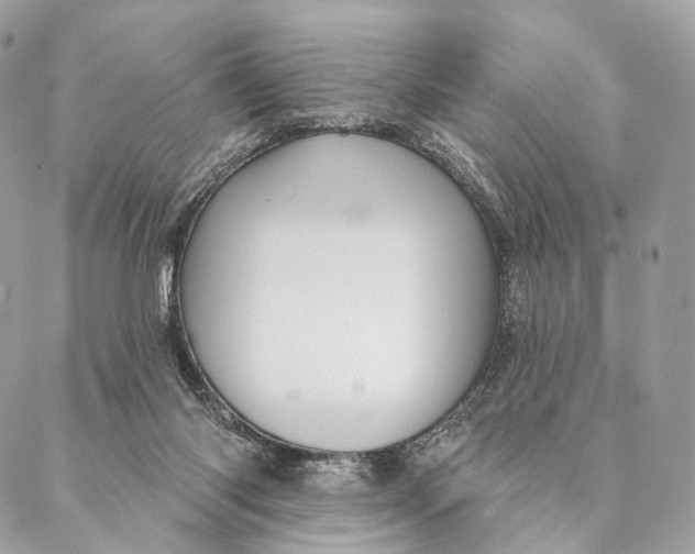 X0000087380118200705111745