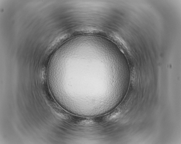 X0000087380119200705111745