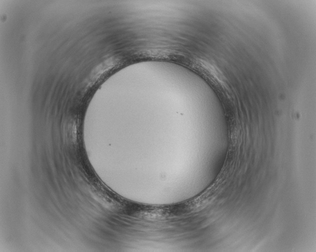 X0000087380120200705111745