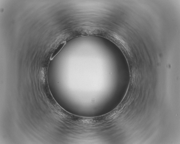 X0000087380121200705111745