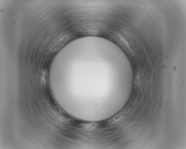 X0000087380122200705111745