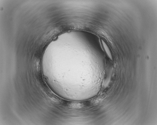 X0000087380123200705111745