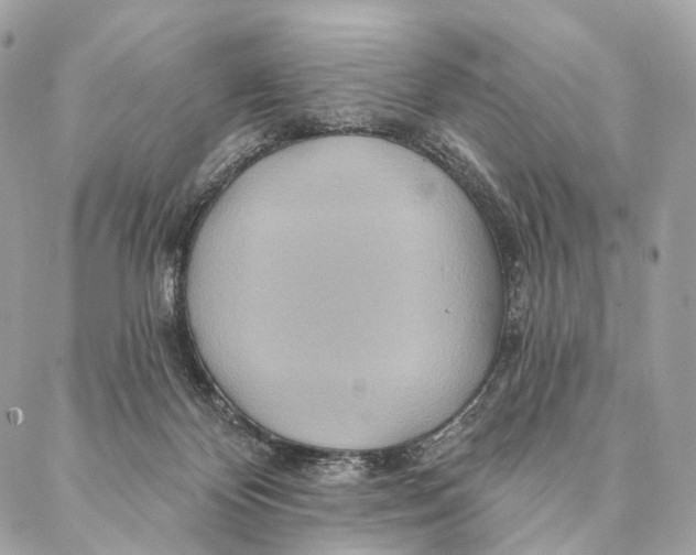 X0000087380124200705111745