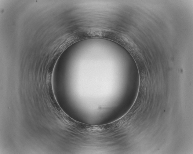 X0000087380125200705111745