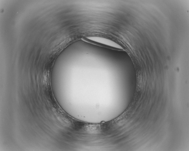 X0000087380126200705111745