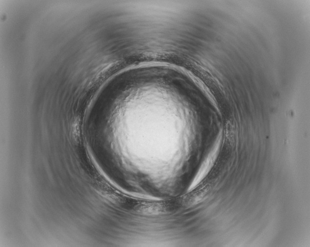 X0000087380127200705111745