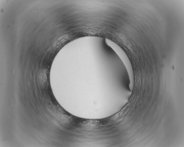 X0000087380128200705111745