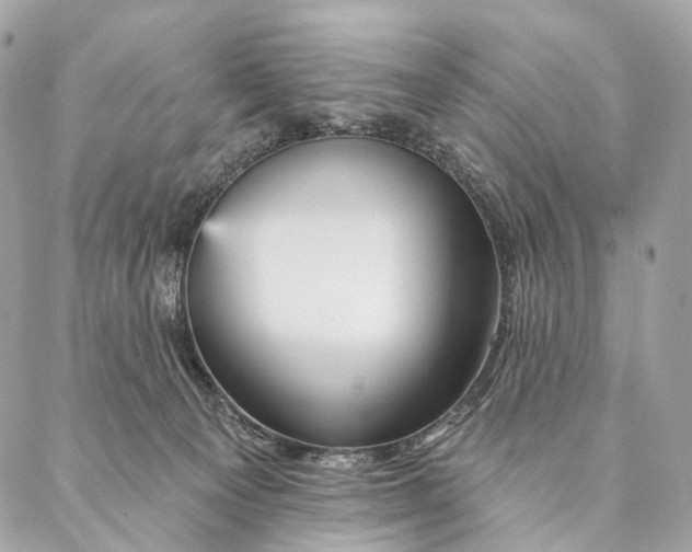 X0000087380129200705111745