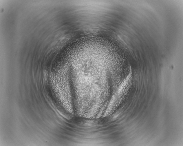 X0000087380130200705111745