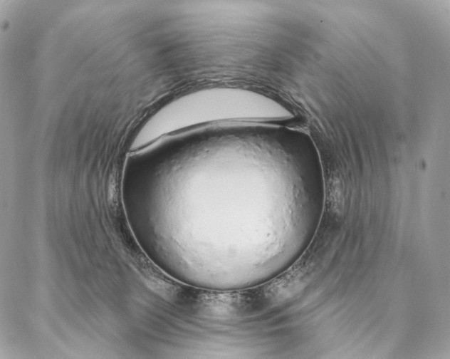 X0000087380131200705111745