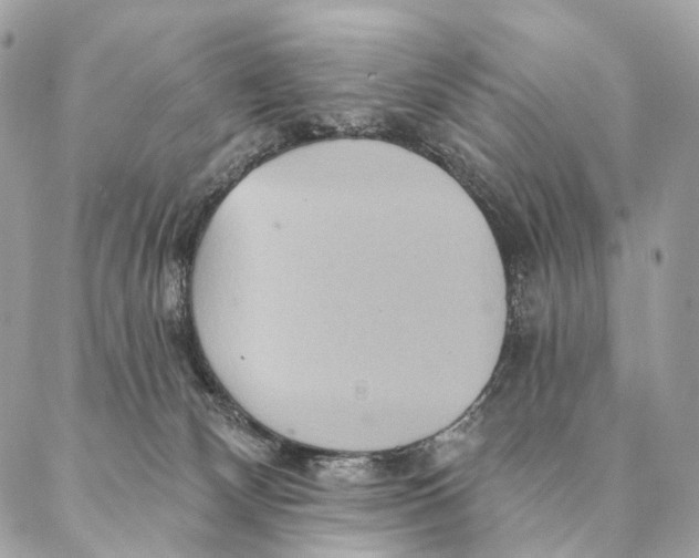 X0000087380132200705111745