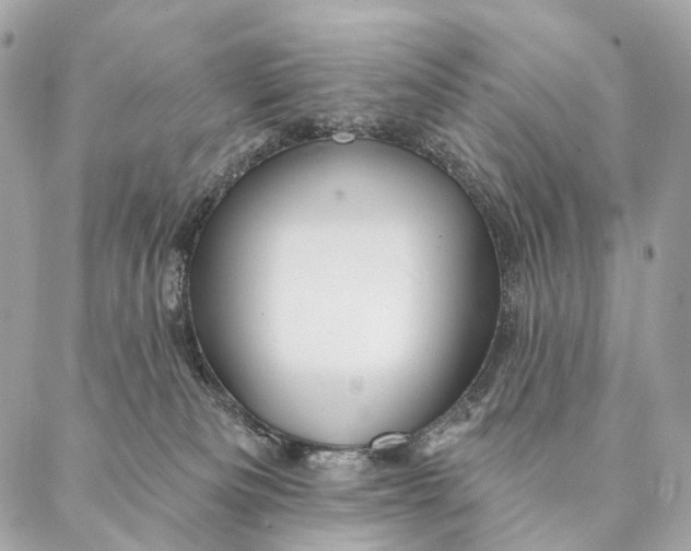 X0000087380133200705111745