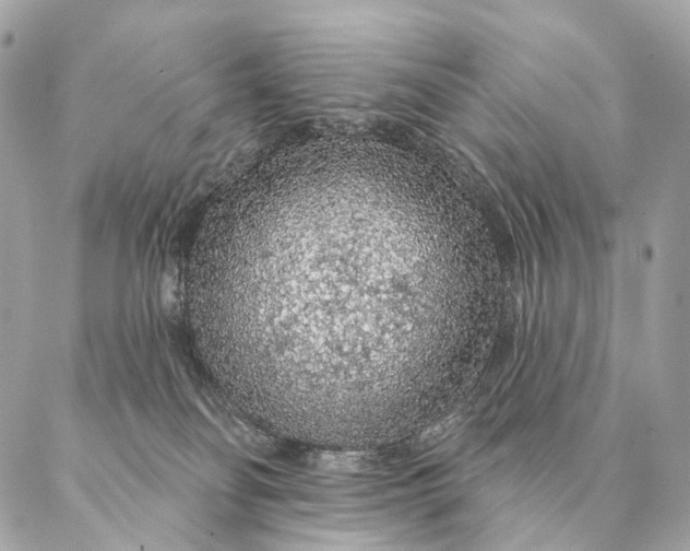 X0000087380134200705111745