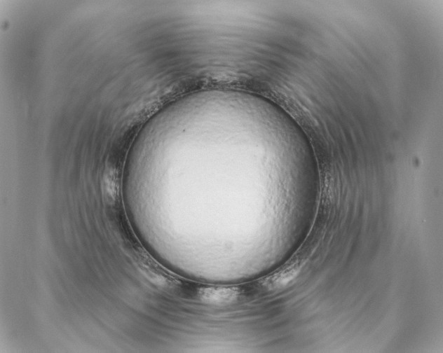 X0000087380135200705111745