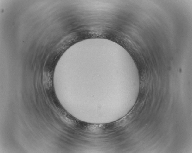 X0000087380136200705111745