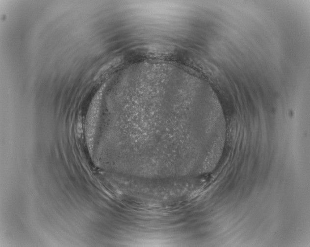 X0000087380137200705111745