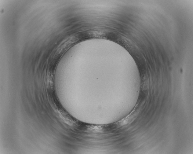 X0000087380140200705111745